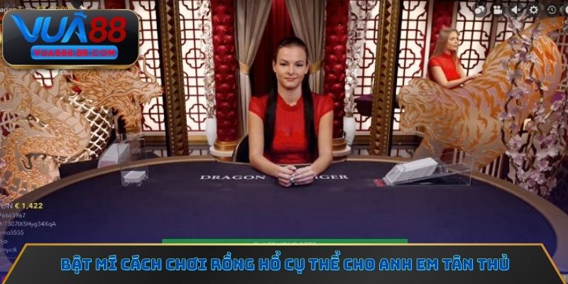 Bật mí cách chơi Rồng hổ cụ thể cho anh em tân thủ