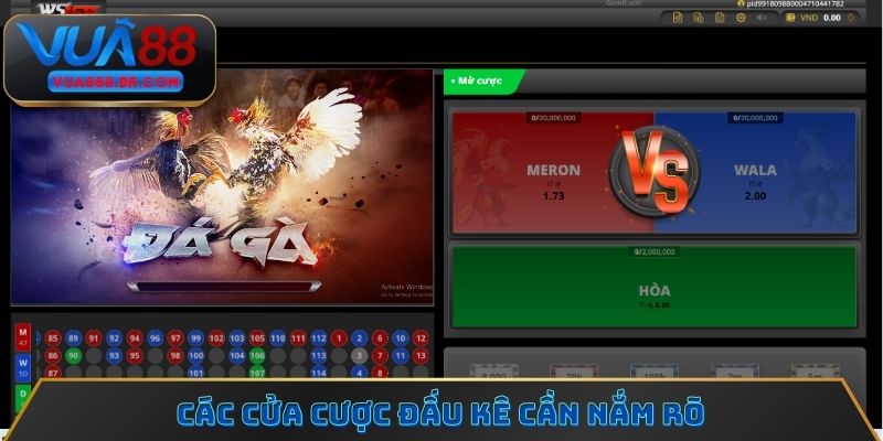 Các cửa cược đấu kê cần nắm rõ