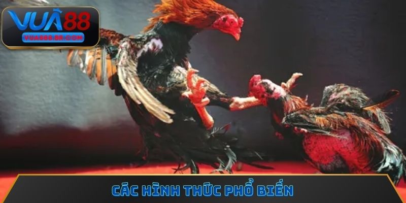 Các hình thức phổ biến