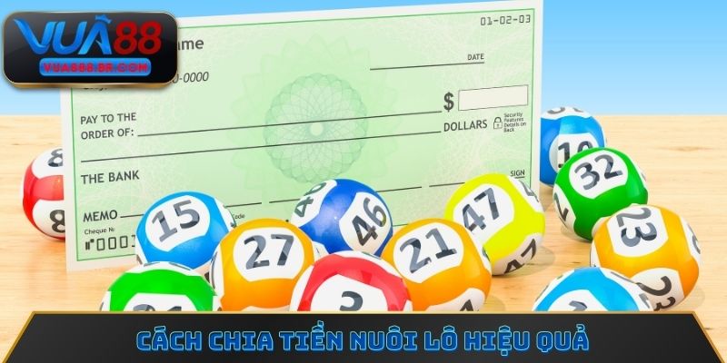 Cách chia tiền nuôi lô hiệu quả
