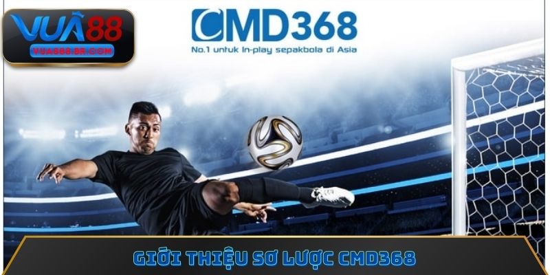 Giới thiệu đôi điều sảnh giải trí CMD368