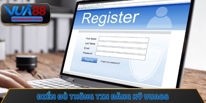 Điền đủ thông tin đăng ký Vua88