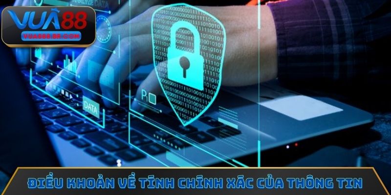 Điều khoản và điều kiện về tính chính xác của thông tin