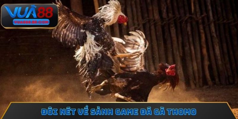 Đôi nét về sảnh game đá gà Thomo