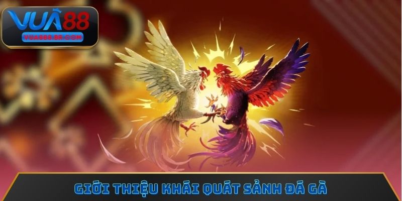 Giới thiệu khái quát sảnh đá gà