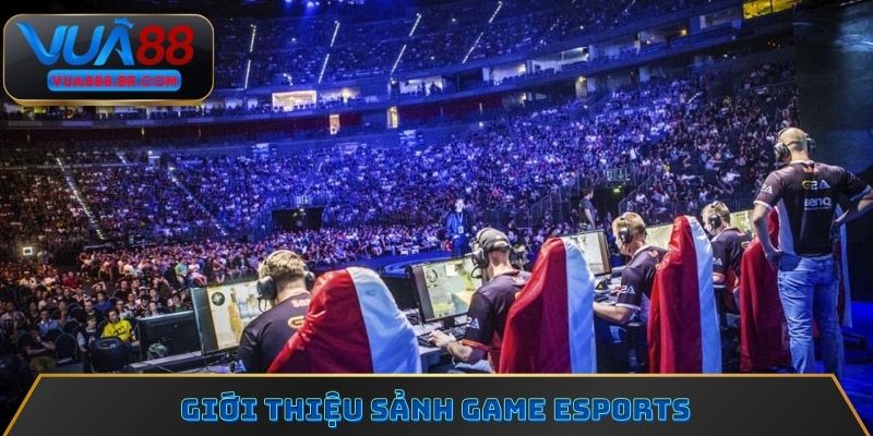 Giới thiệu sảnh Game Esports