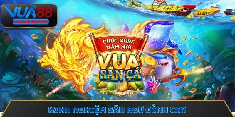 Kinh nghiệm săn ngư đỉnh cao