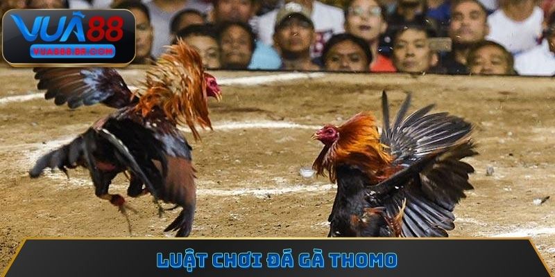 Luật chơi đá gà Thomo