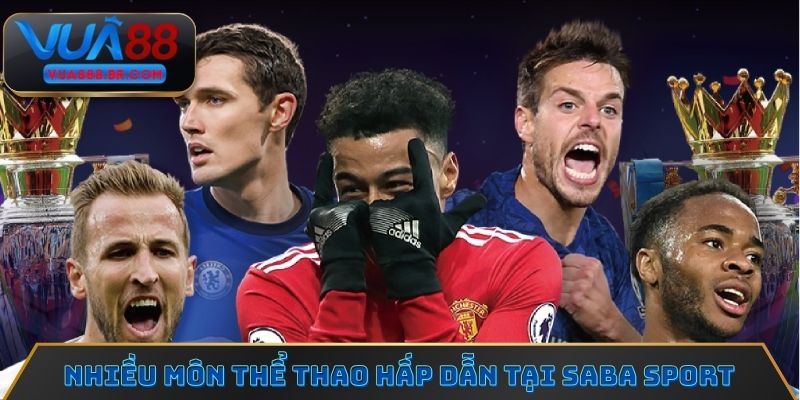 Nhiều môn thể thao hấp dẫn tại Saba Sport