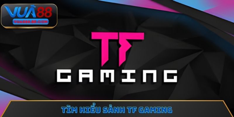 Tìm hiểu sảnh TF Gaming
