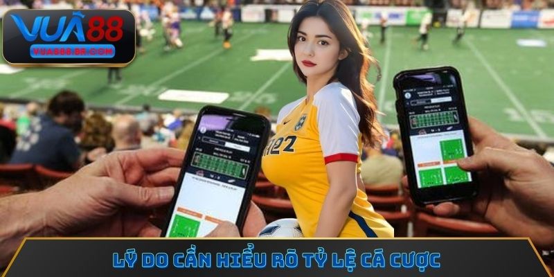 Hội viên cần hiểu rõ về tỷ lệ cá độ bóng đá 